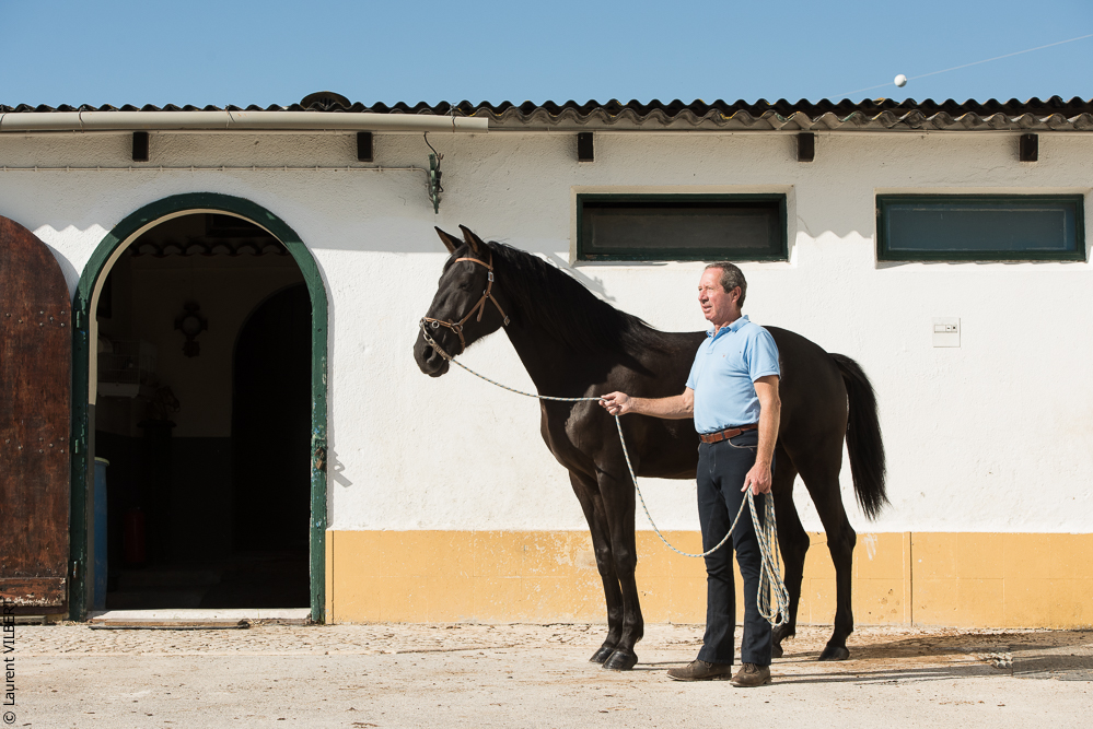 Humberto 20181114-221