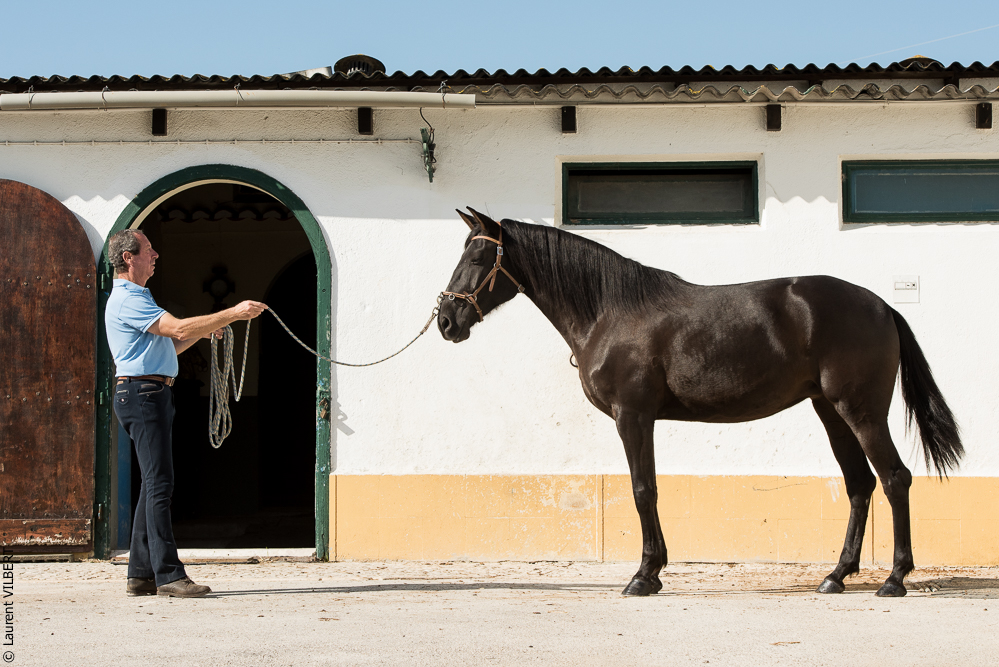 Humberto 20181114-259