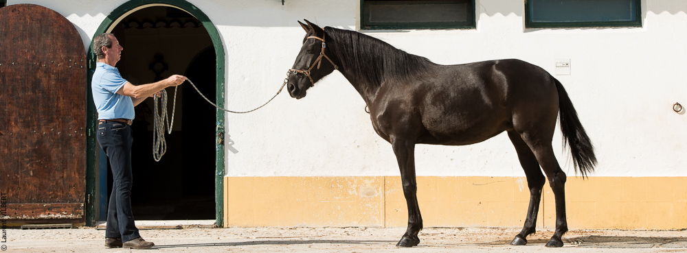 Humberto 20181114-259