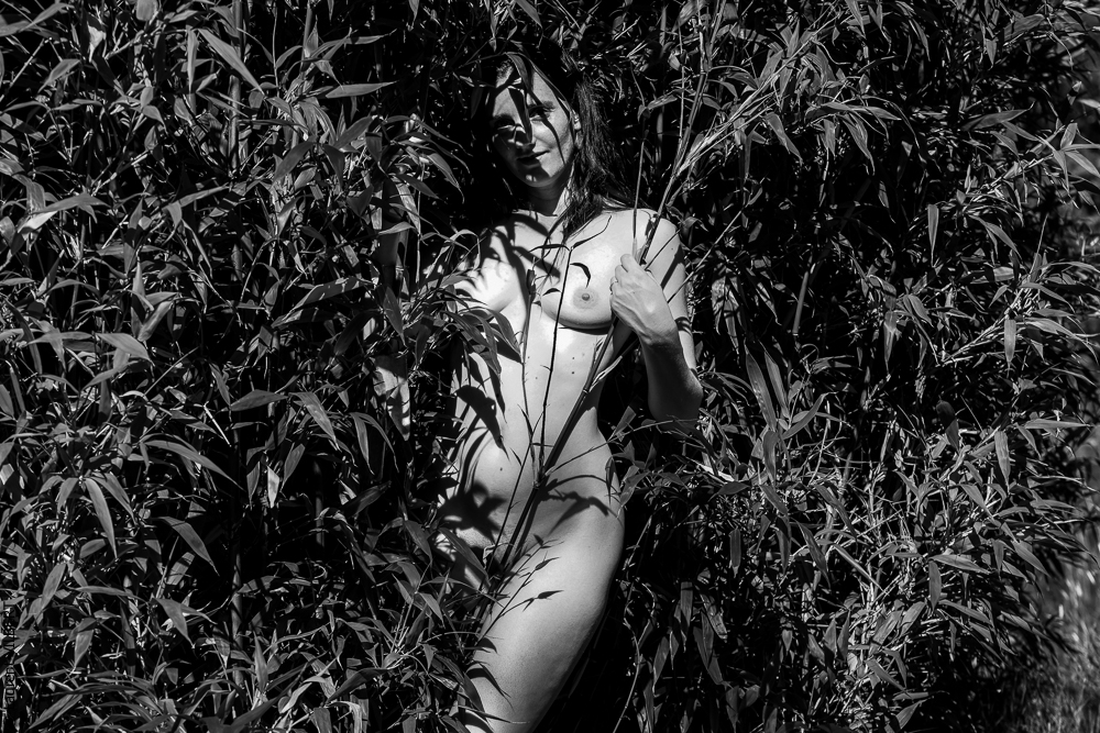 Isabelle 20220615-0591