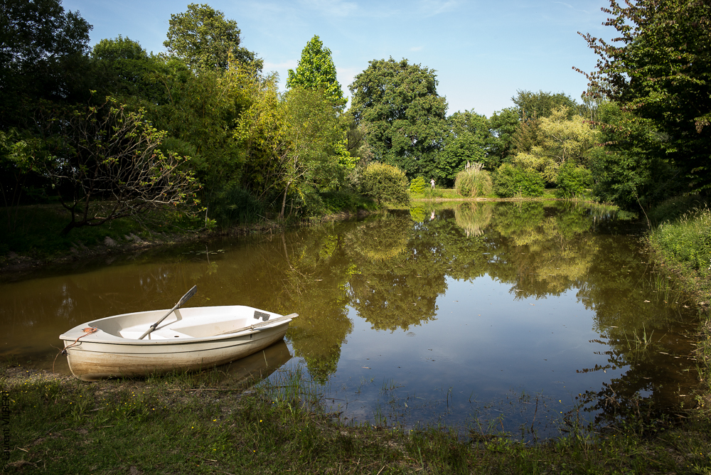 Isabelle 20220615-0974