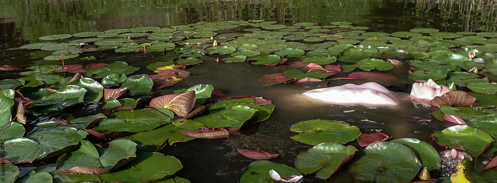 Isabelle 20220615-1285