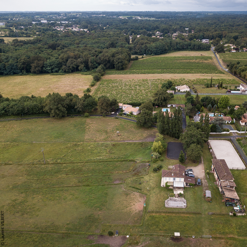 Quinta de Moita 20220626-013