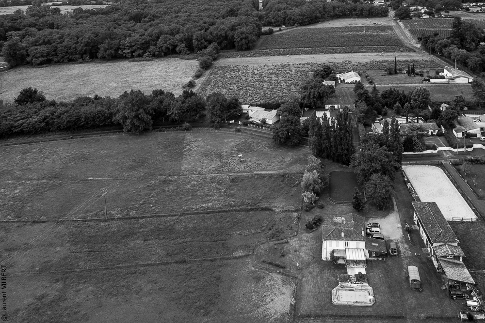 Quinta de Moita 20220626-013