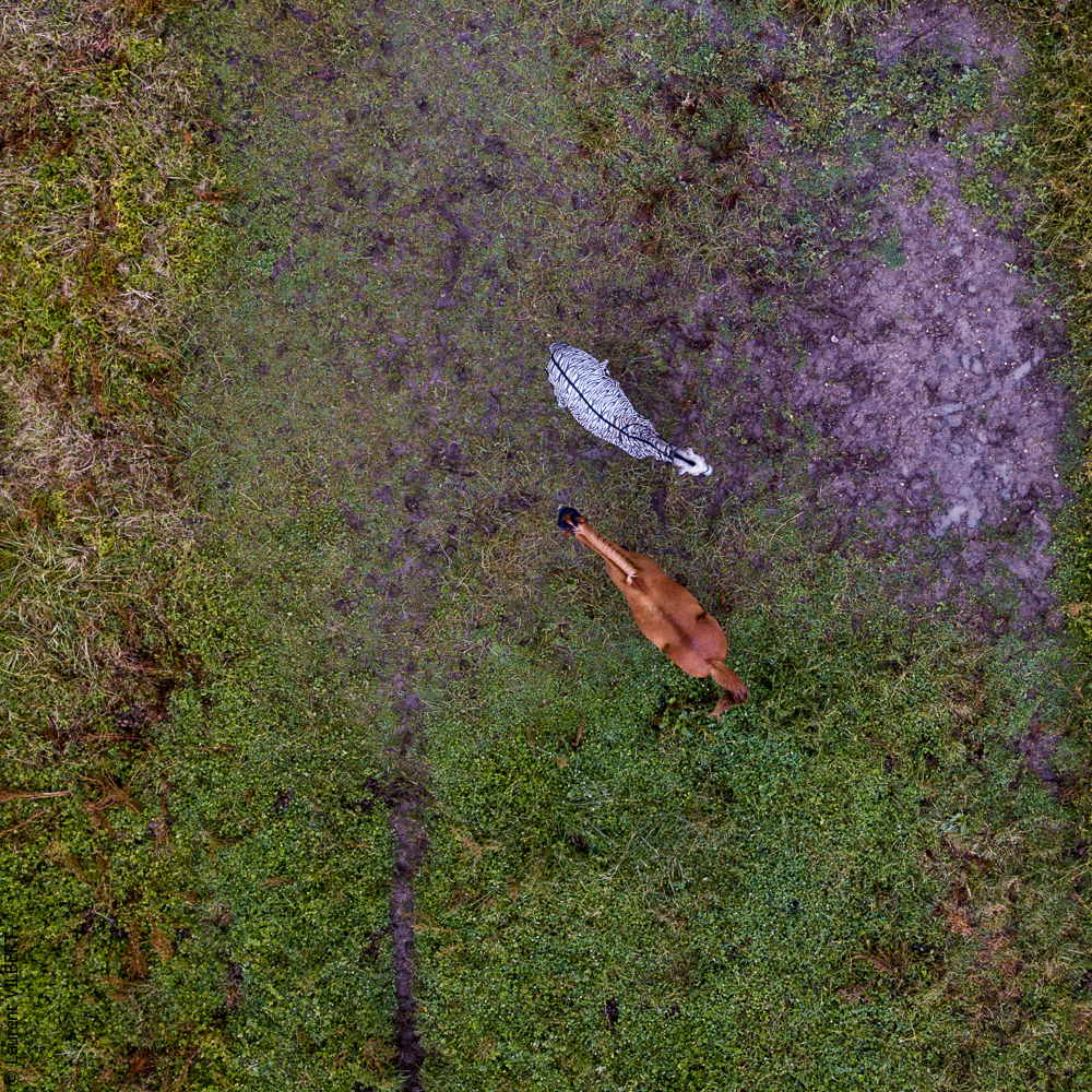 Quinta de Moita 20220626-072