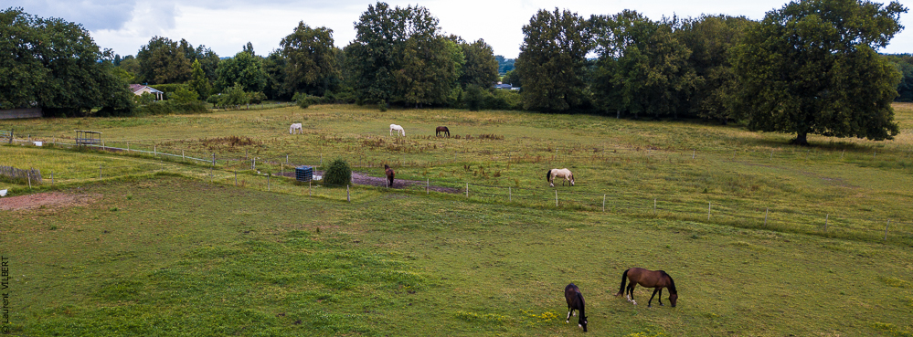 Quinta de Moita 20220626-091