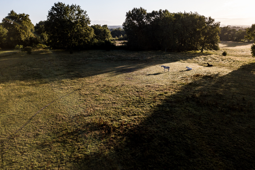 Quinta de Moita 20220627-121