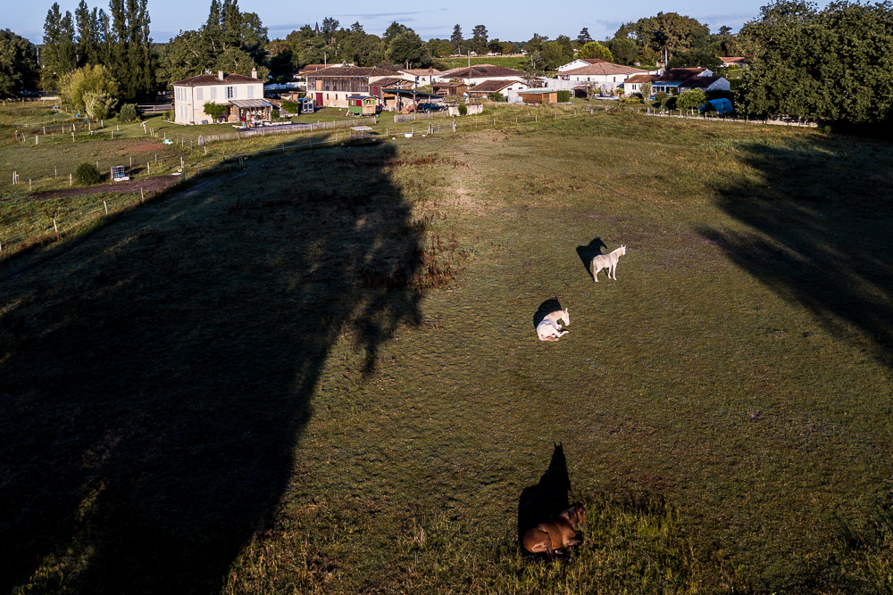 Quinta de Moita 20220627-128