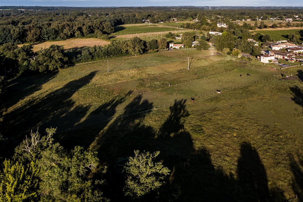 Quinta de Moita 20220627-137