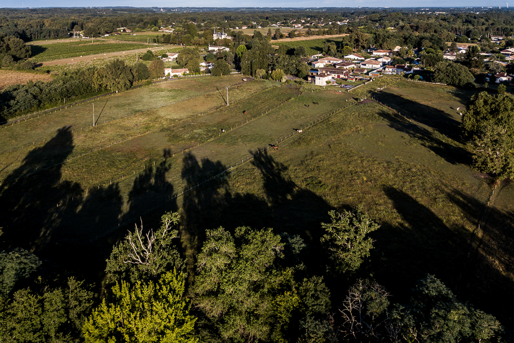 Quinta de Moita 20220627-140