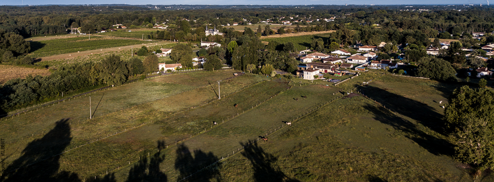 Quinta de Moita 20220627-140