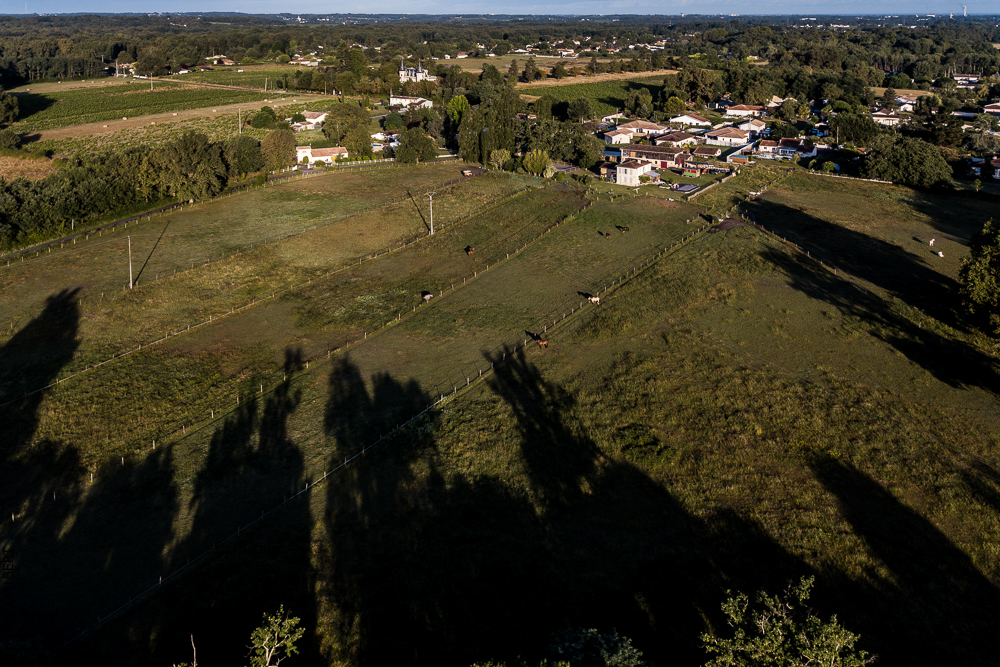 Quinta de Moita 20220627-144