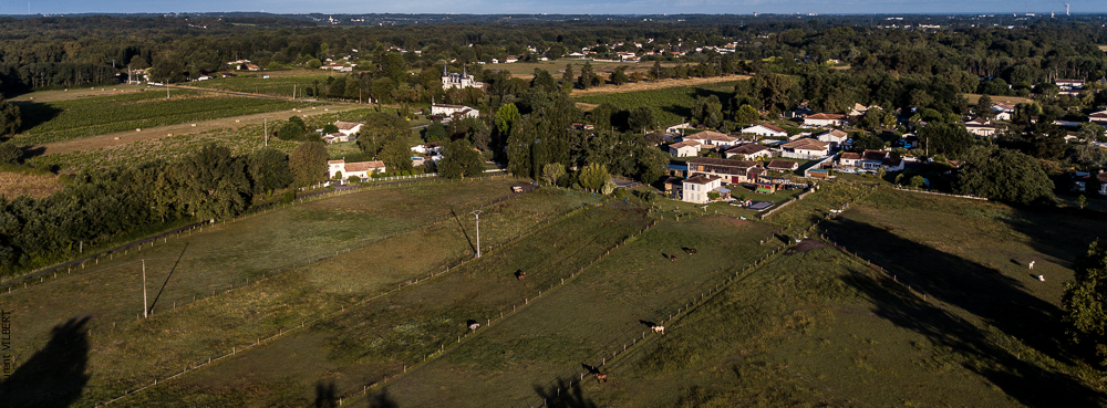 Quinta de Moita 20220627-144