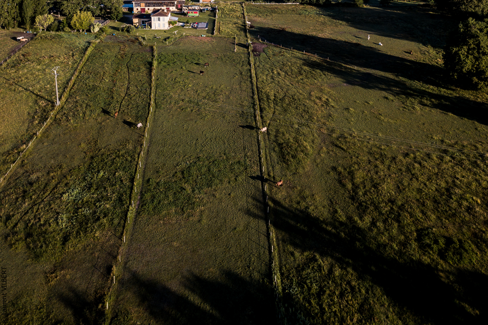 Quinta de Moita 20220627-146