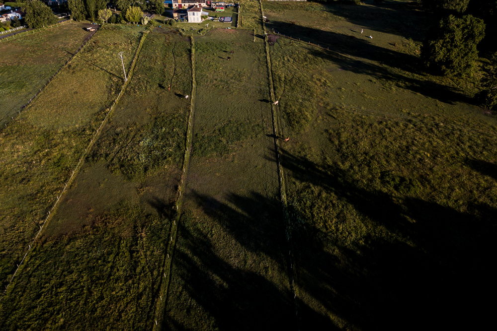 Quinta de Moita 20220627-148