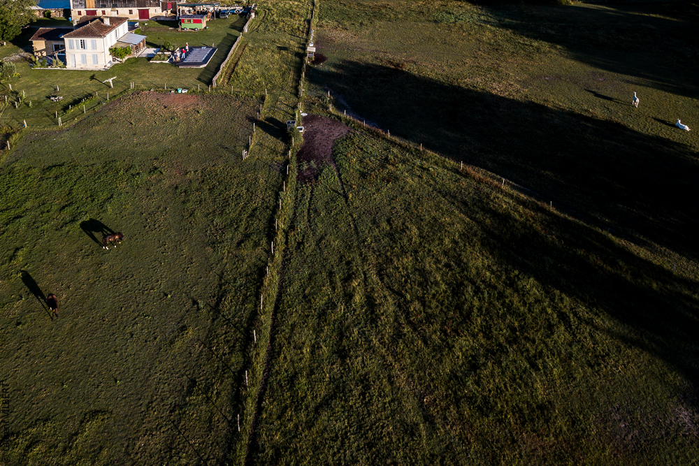 Quinta de Moita 20220627-152