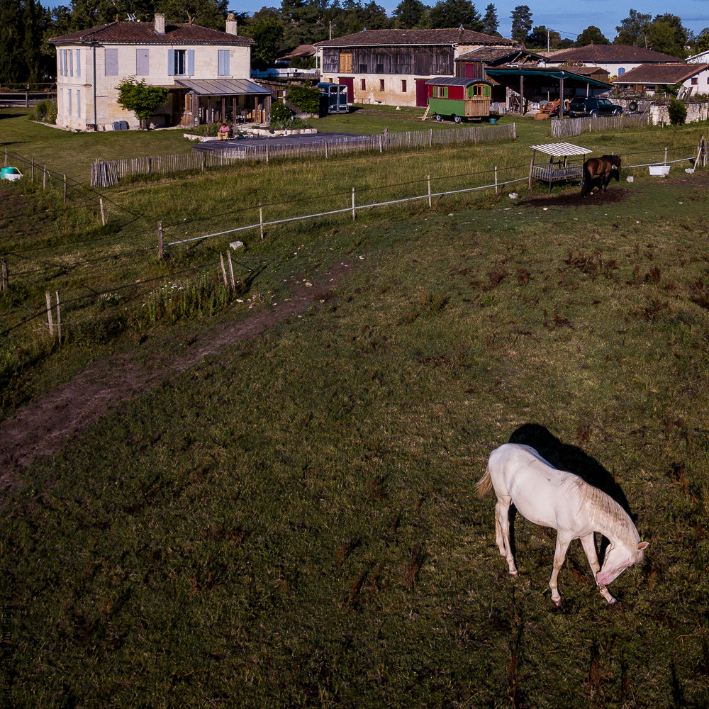 Quinta de Moita 20220627-164