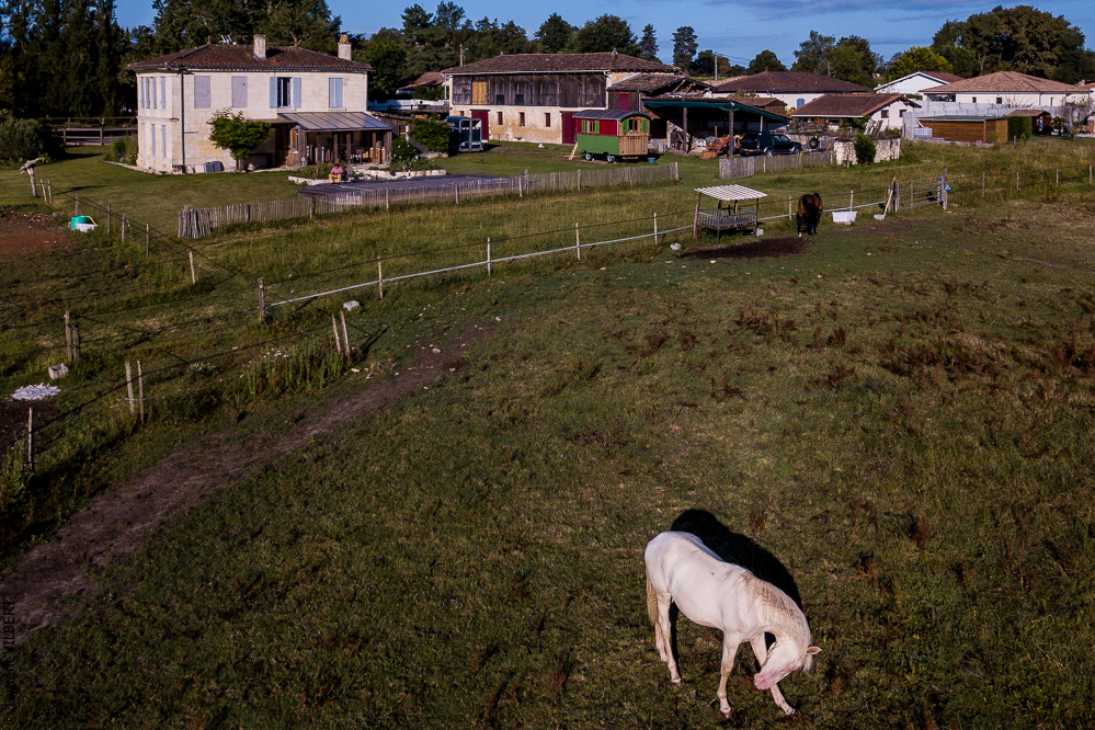 Quinta de Moita 20220627-166