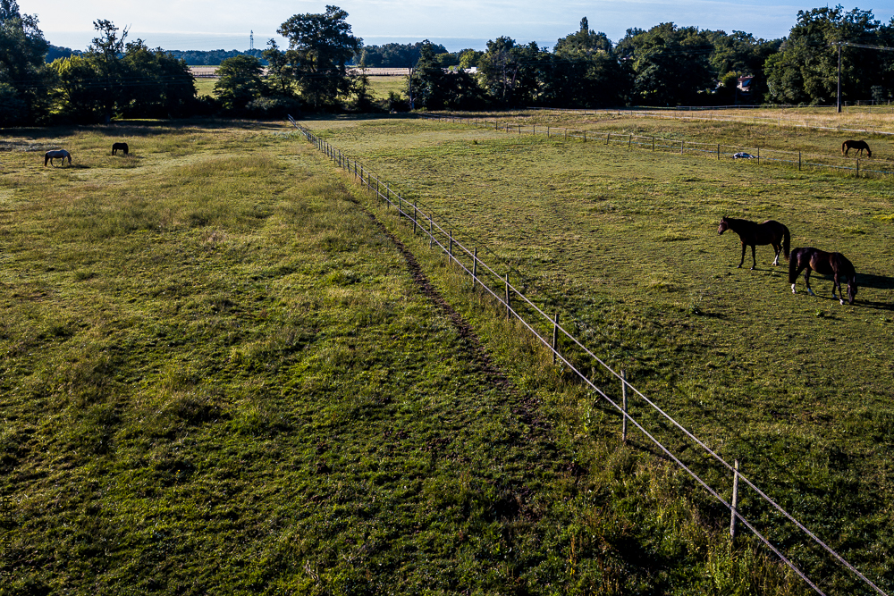 Quinta de Moita 20220627-169