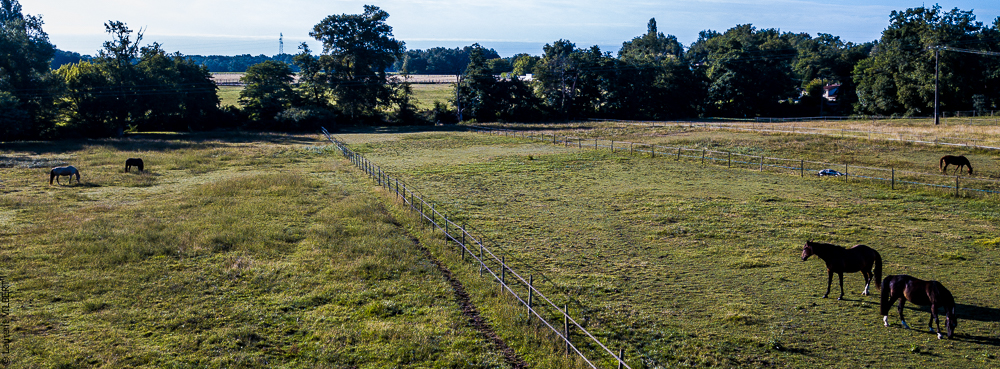 Quinta de Moita 20220627-169