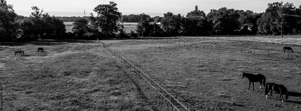 Quinta de Moita 20220627-169