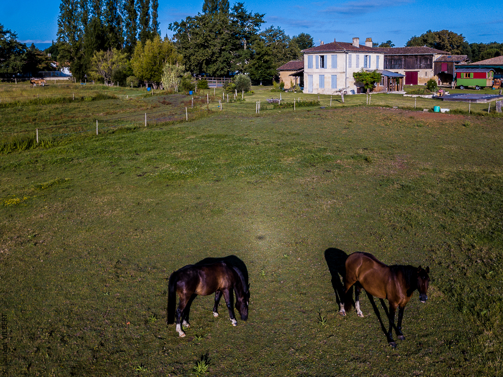 Quinta de Moita 20220627-188