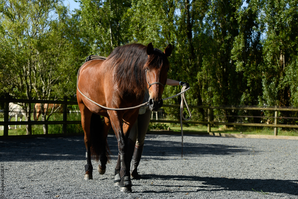 Quinta de Moita 20220627-209