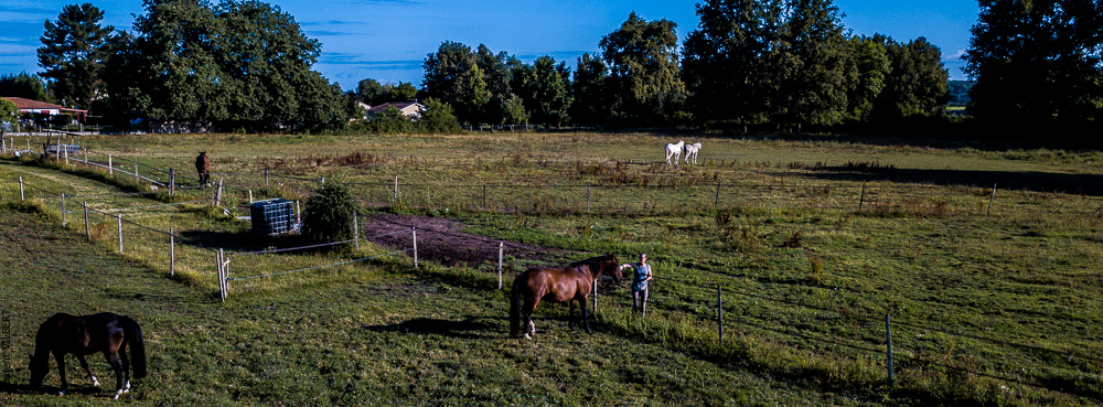 Quinta de Moita 20220627-211