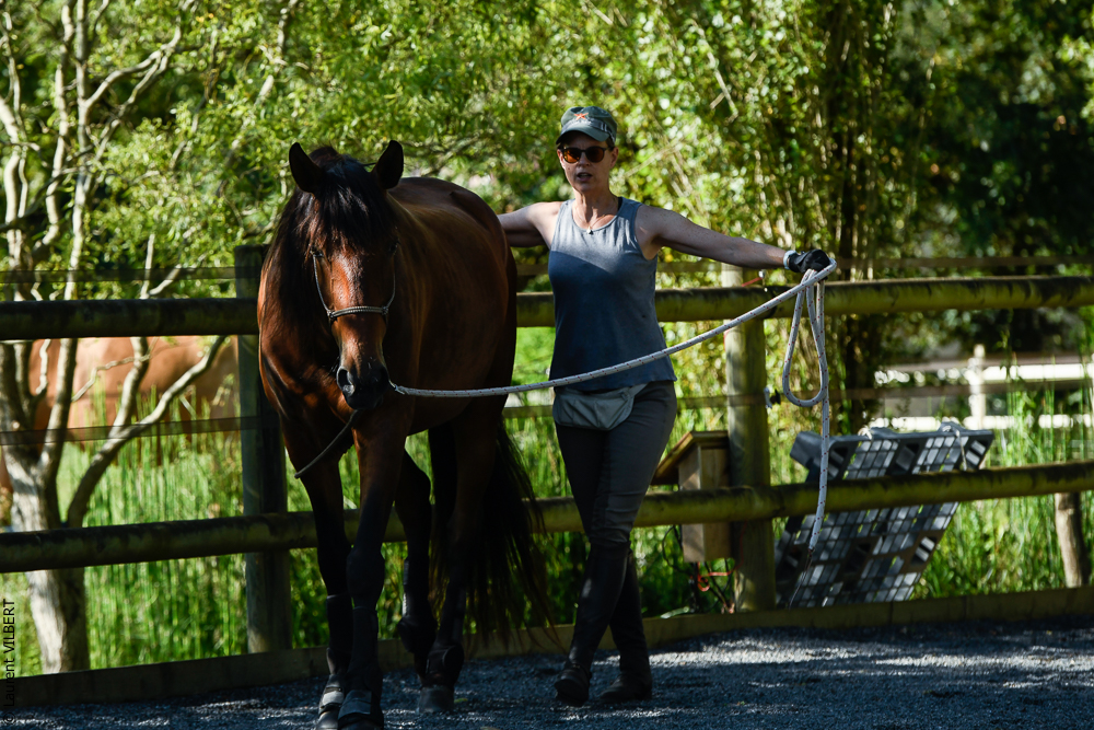 Quinta de Moita 20220627-226