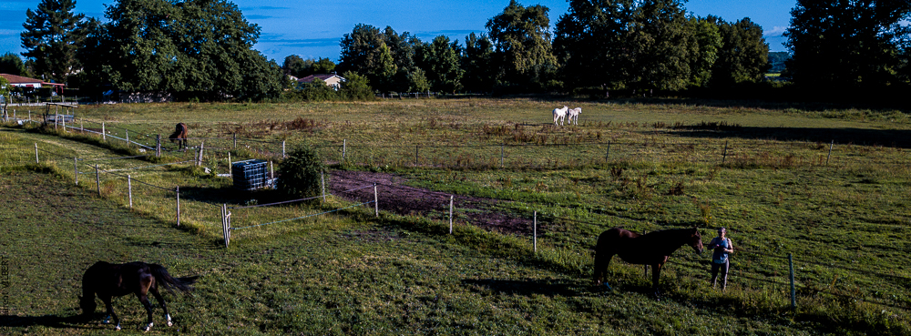 Quinta de Moita 20220627-230