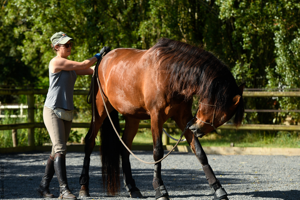 Quinta de Moita 20220627-233