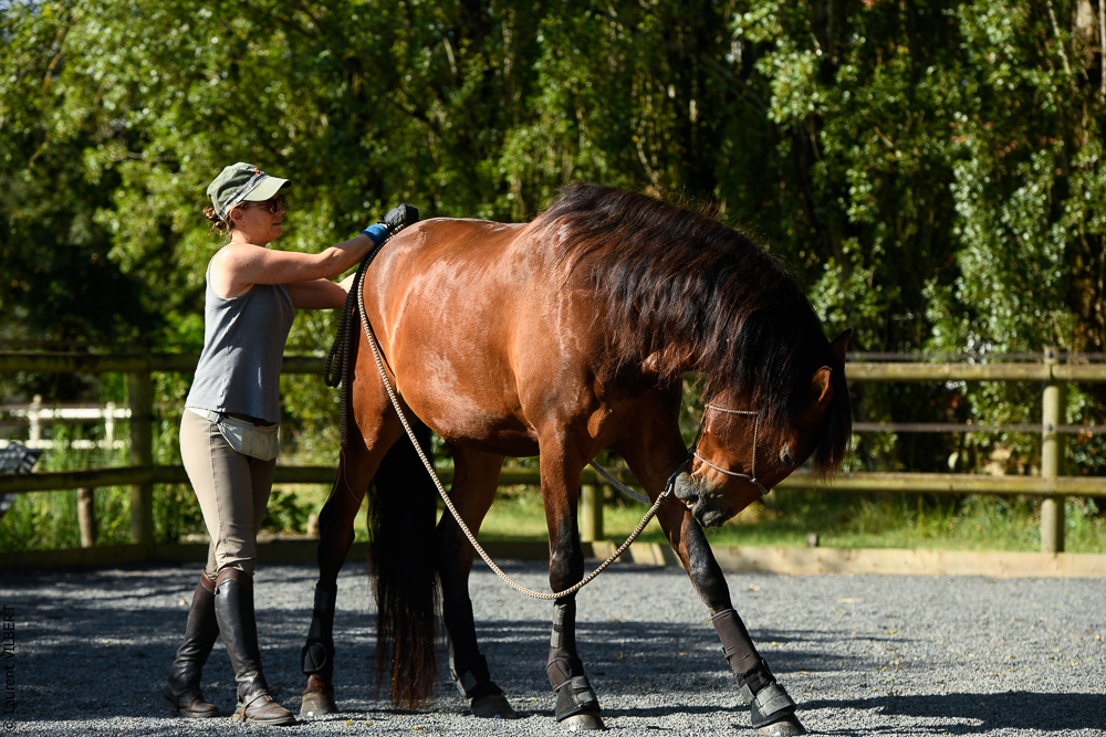 Quinta de Moita 20220627-234