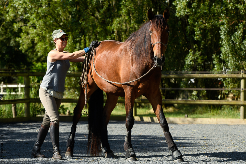 Quinta de Moita 20220627-238