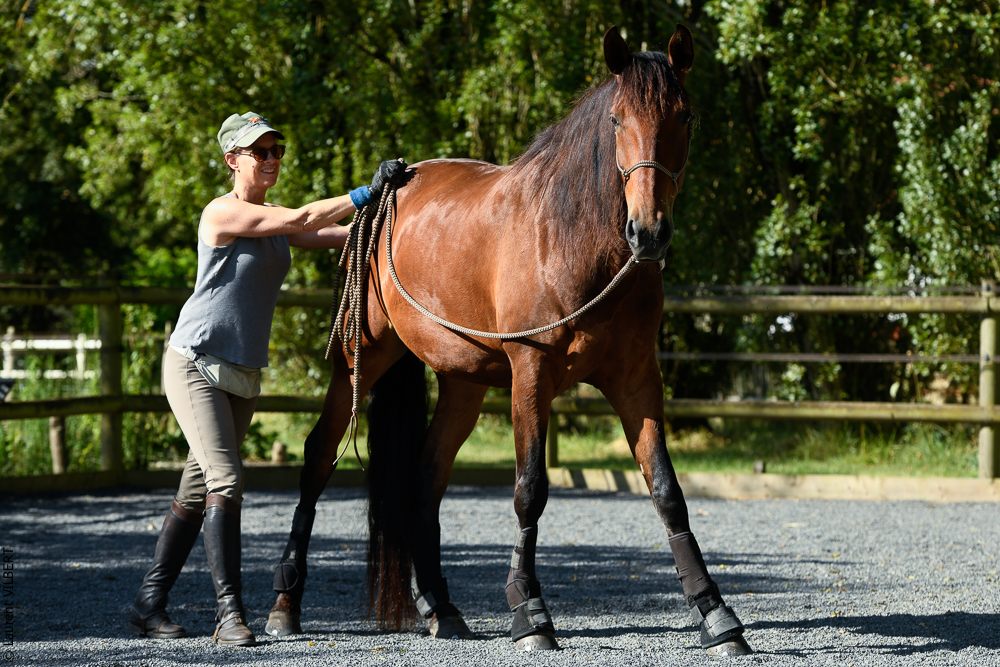 Quinta de Moita 20220627-239