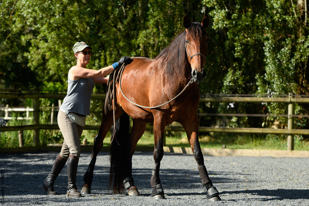 Quinta de Moita 20220627-240