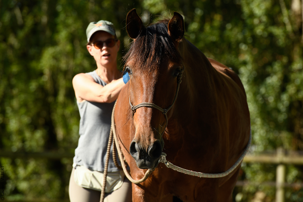 Quinta de Moita 20220627-243