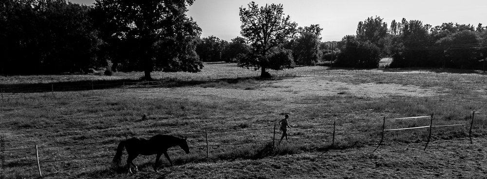 Quinta de Moita 20220627-246