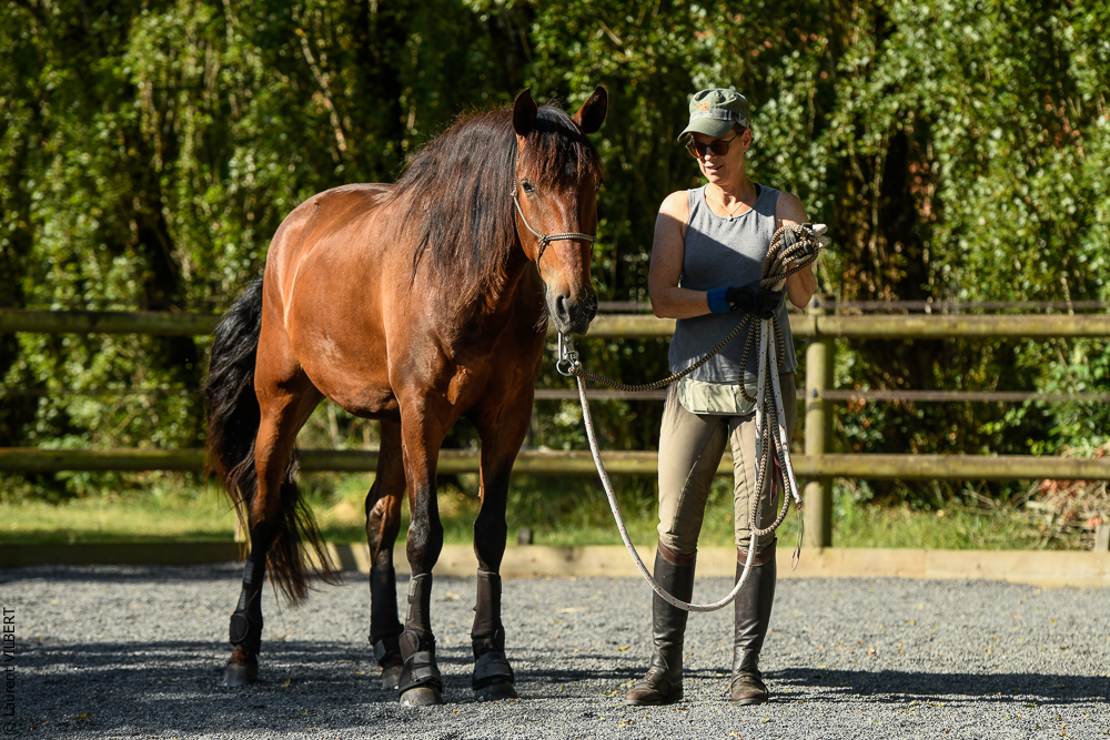 Quinta de Moita 20220627-256