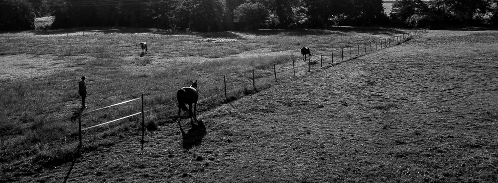 Quinta de Moita 20220627-268