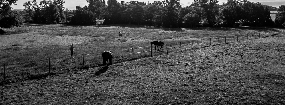 Quinta de Moita 20220627-272