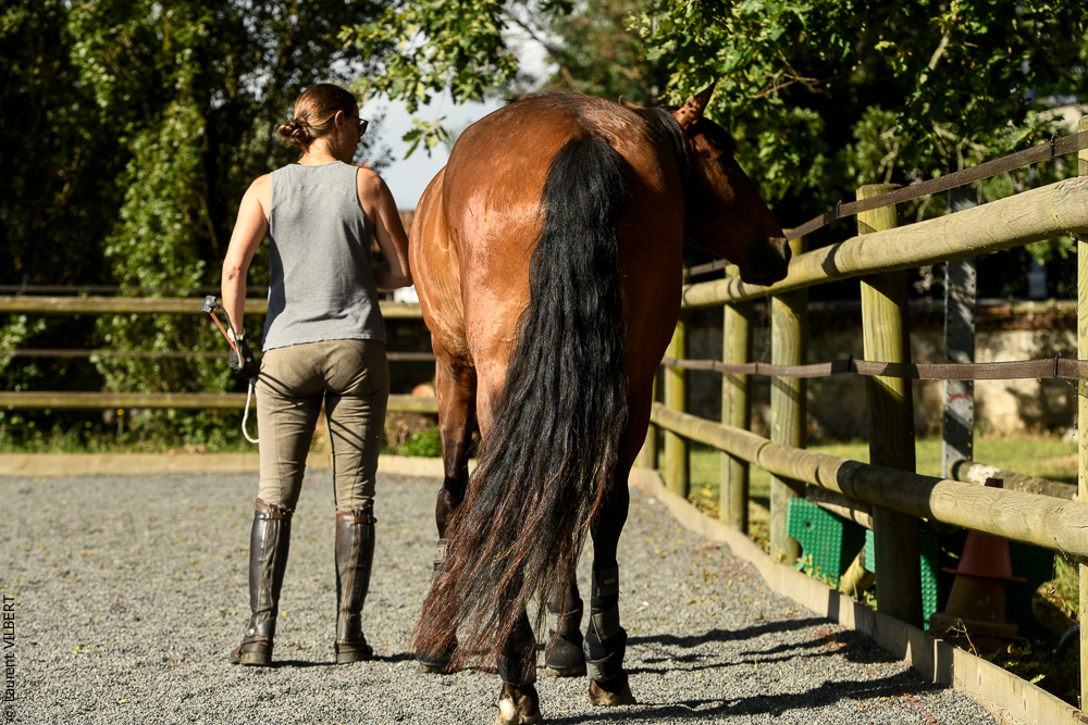 Quinta de Moita 20220627-284