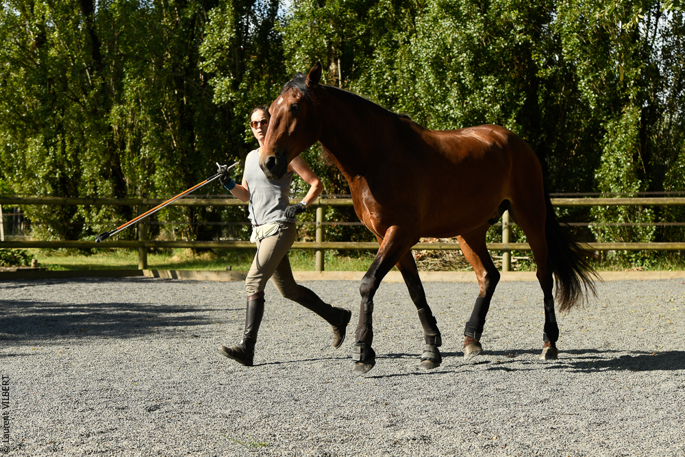 Quinta de Moita 20220627-291