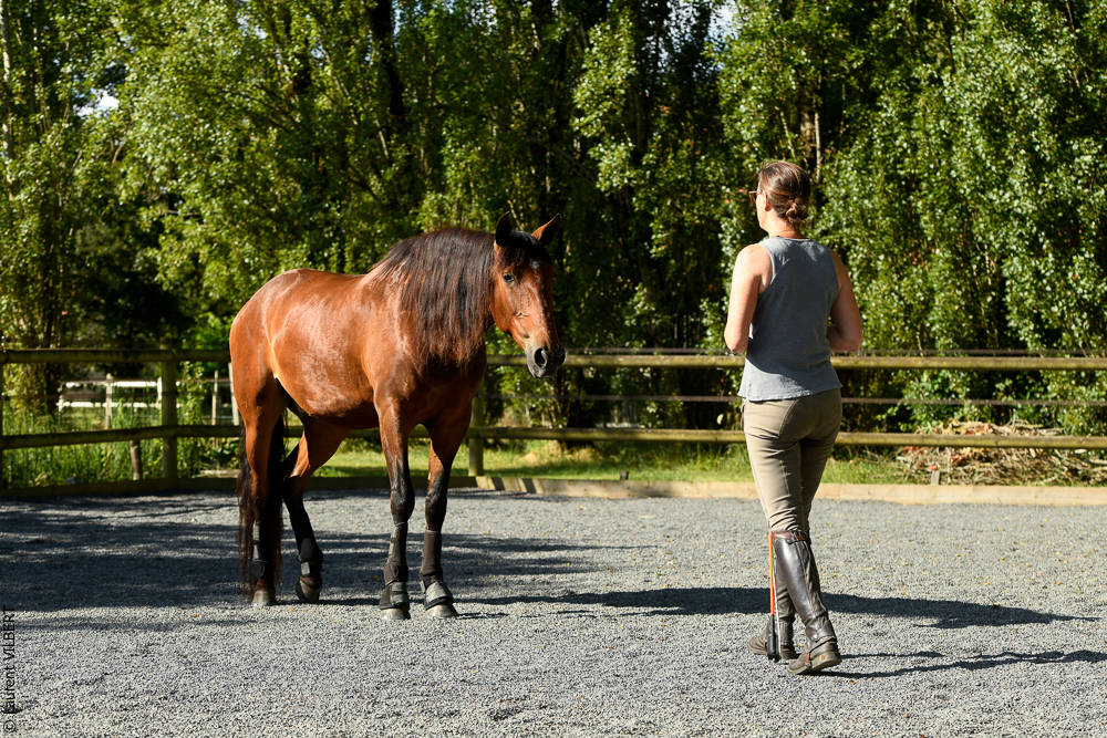 Quinta de Moita 20220627-298