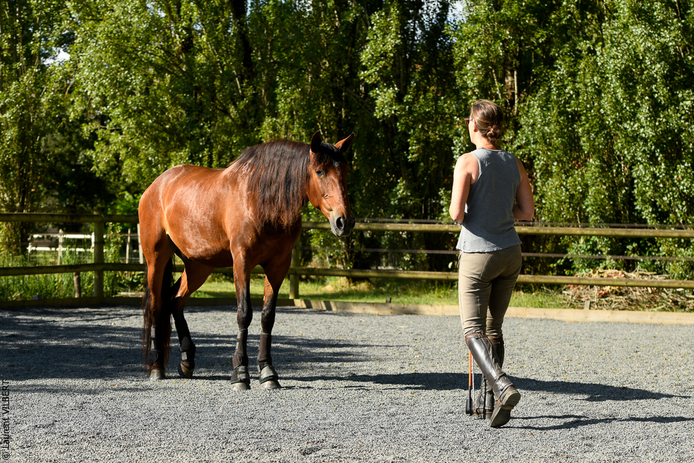 Quinta de Moita 20220627-299