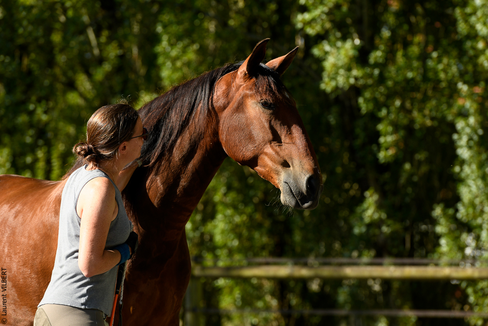 Quinta de Moita 20220627-304