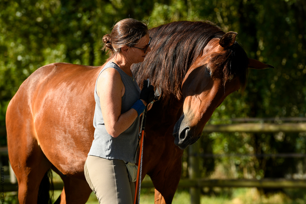 Quinta de Moita 20220627-312