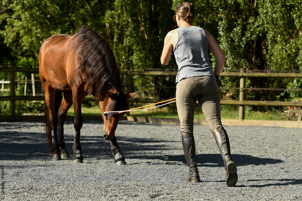 Quinta de Moita 20220627-327