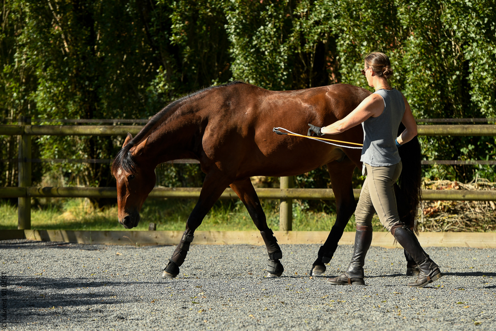 Quinta de Moita 20220627-332