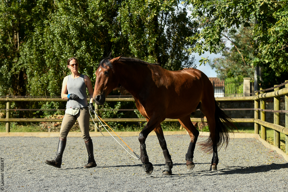 Quinta de Moita 20220627-333