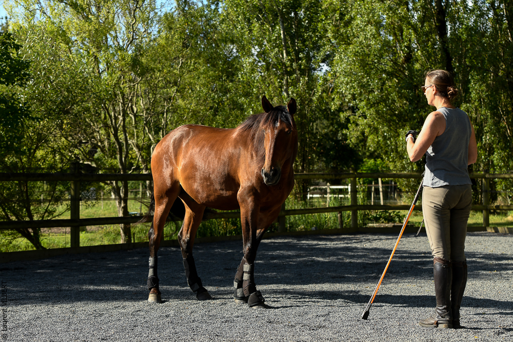 Quinta de Moita 20220627-334